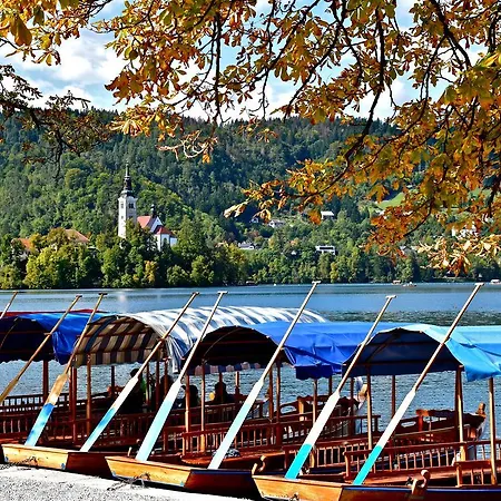 Hotel Adora Luxury